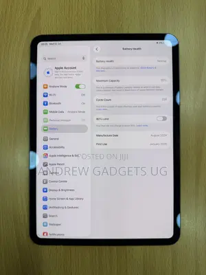 Apple iPad Pro 11 (2024) 256 GB Gray