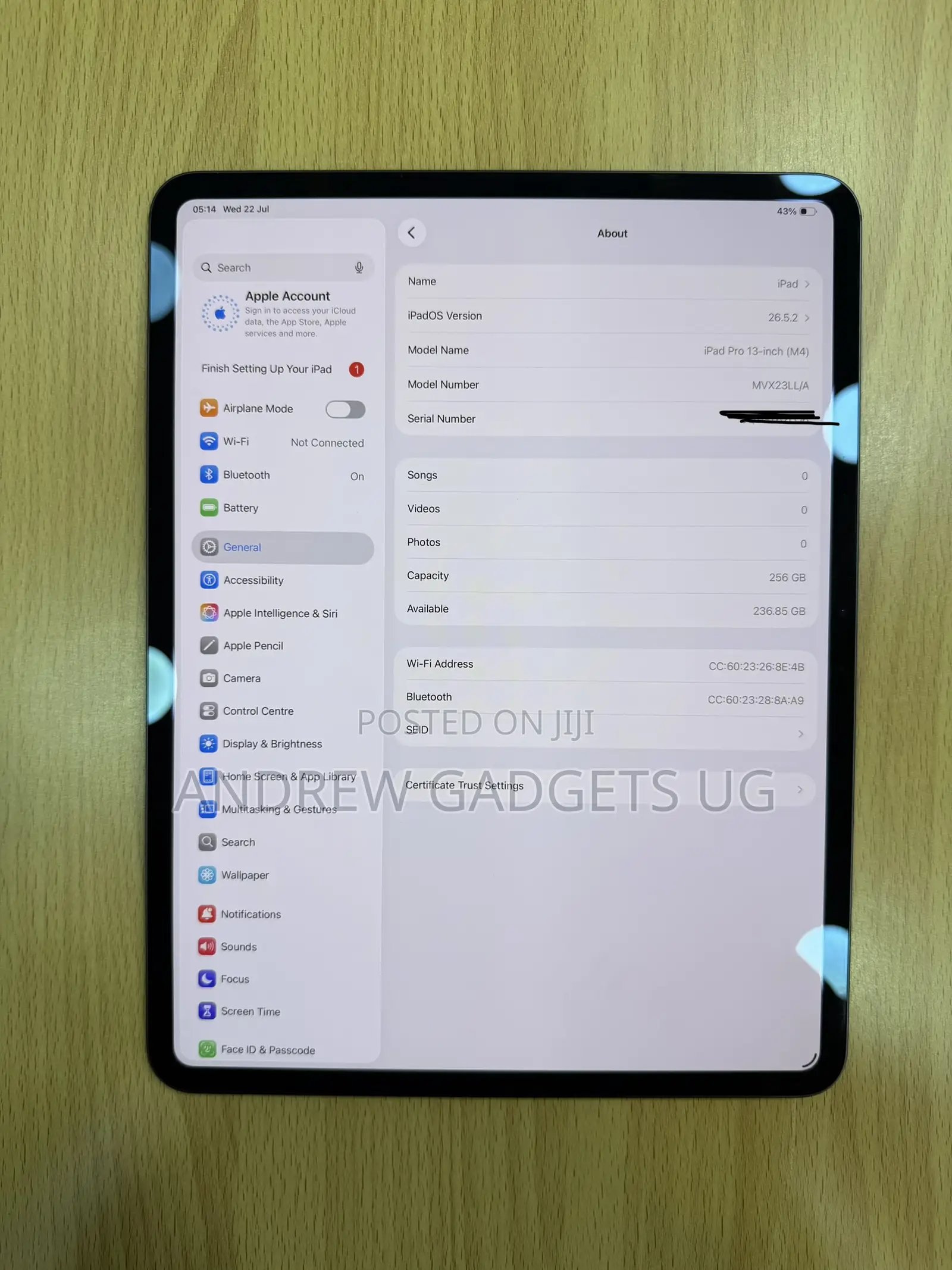 Apple iPad Pro 13 (2024) 256 GB Gray