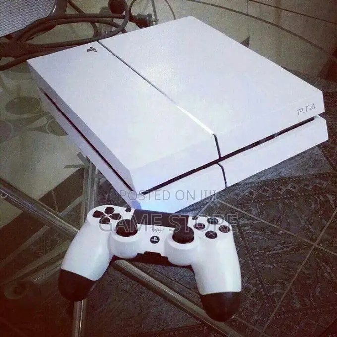 PS4 Standard: Freshly Unboxed and Ready to Ruin Your Sleep Schedule!.