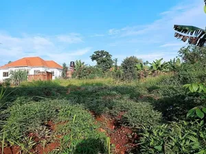50ft by 100 Ft Plot for Sale in Namugongo Sonde At55m