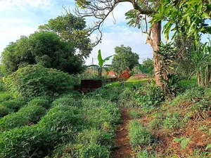50ft by 100 Ft Plot for Sale in Namugongo Sonde At55m