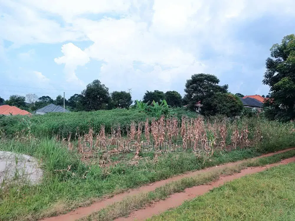 50ft by 100 Ft Plot for Sale in Namugongo Sonde At55m
