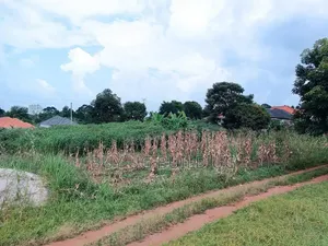 50ft by 100 Ft Plot for Sale in Namugongo Sonde At55m