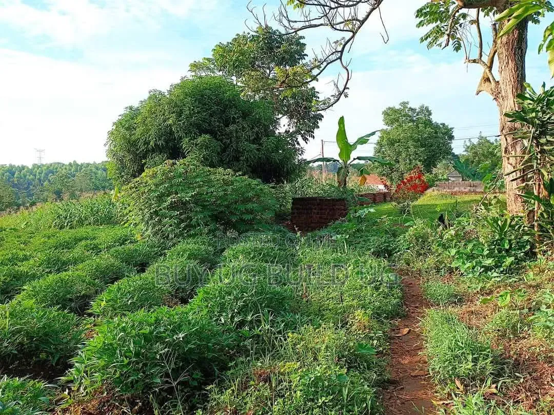 50ft by 100 Ft Plot for Sale in Namugongo Sonde At55m