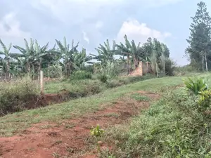 Land for Sale – Sonde Budugala via Jjoggo