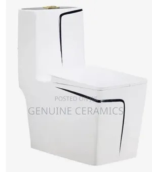 Fancy Toilet Seat