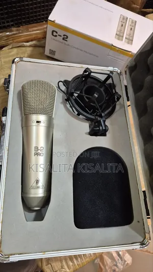 Behringer B2 Microphone