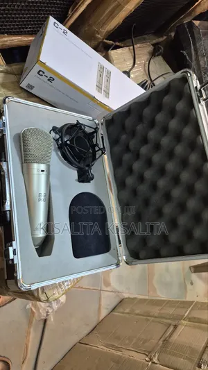 Behringer B2 Microphone