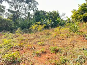 Kira Mamerito Road 25 Decimals Plot of Land for Sale 350m