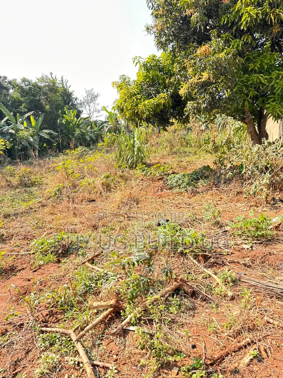 Kira Mamerito Road 25 Decimals Plot of Land for Sale 350m