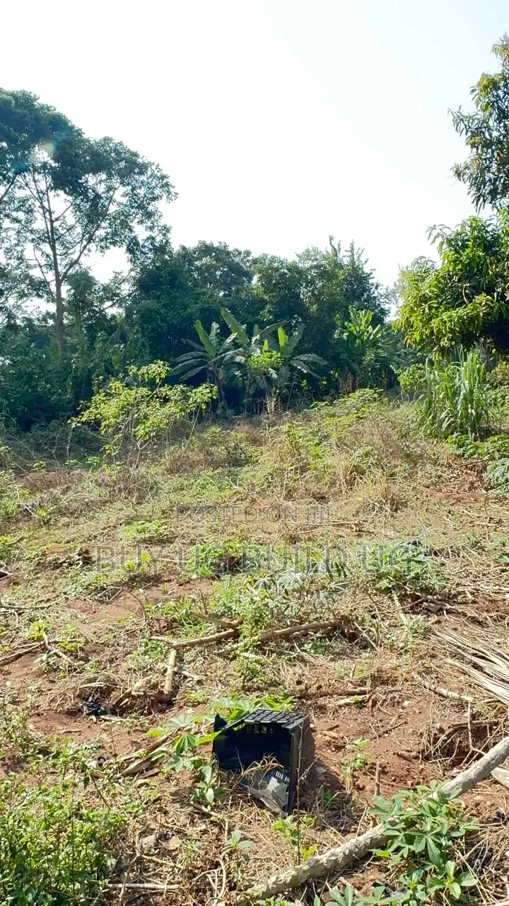 Kira Mamerito Road 25 Decimals Plot of Land for Sale 350m