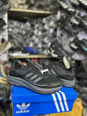 Original Adidas Terrex Gore-Tex Hiking Shoes