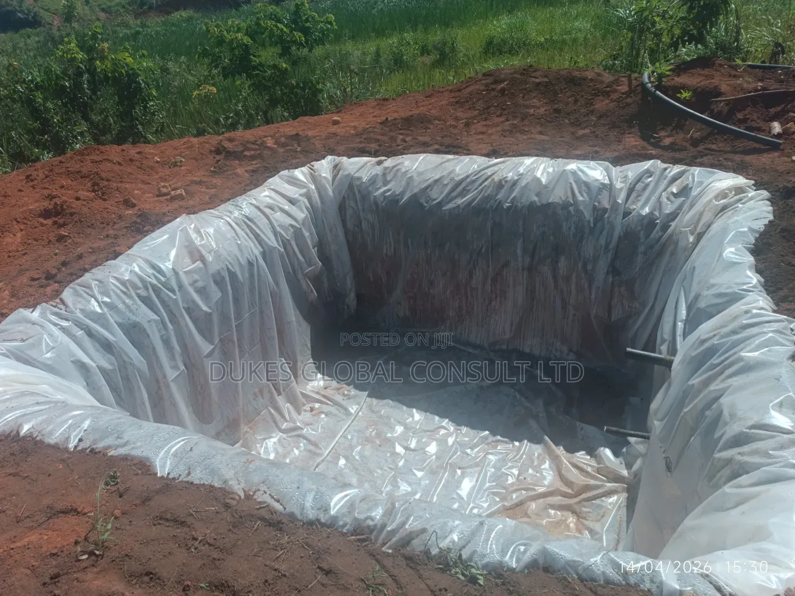 Azola and Fish Pond Liner
