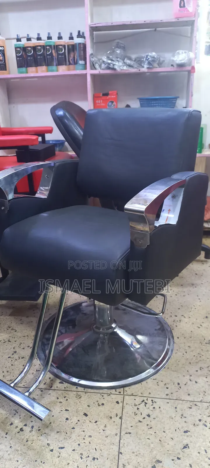 Salon Chair