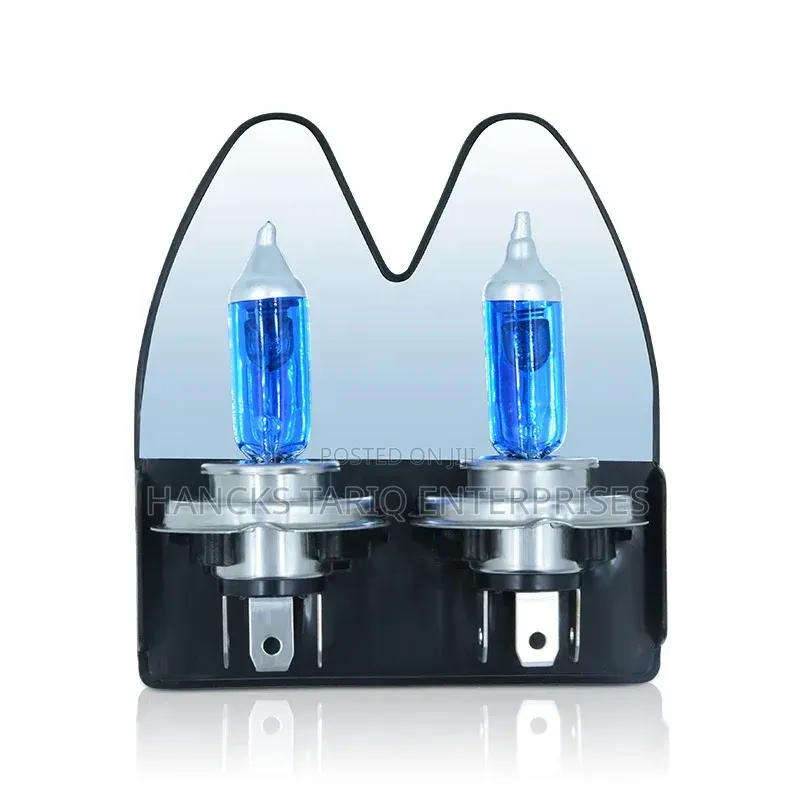 Automotive Halogen Headlight Bulbs