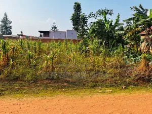 Quick Sale  27 Decimals for Sale in Kira Nakwero at 110m