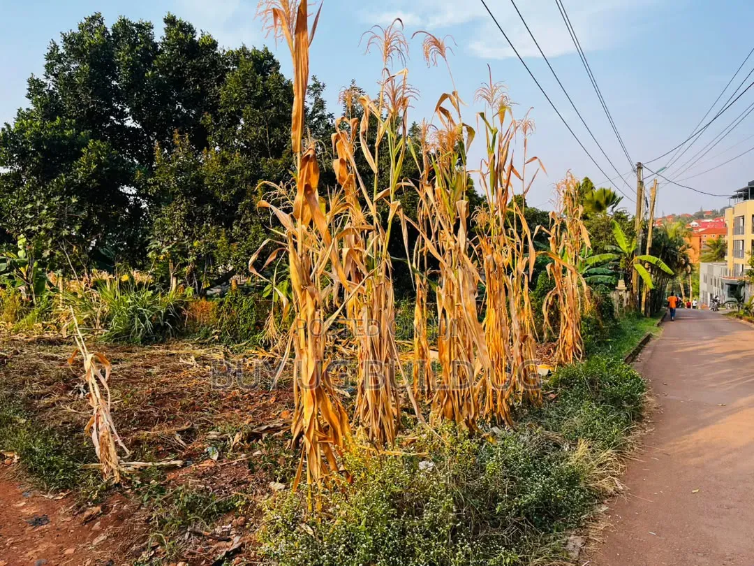 Quick Sale  27 Decimals for Sale in Kira Nakwero at 110m
