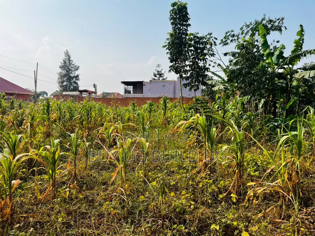 Quick Sale  27 Decimals for Sale in Kira Nakwero at 110m