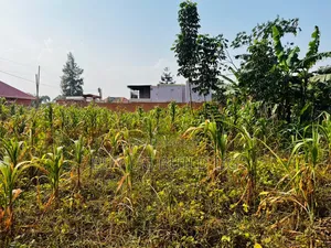Quick Sale  27 Decimals for Sale in Kira Nakwero at 110m