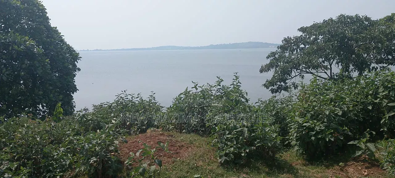Two Acres Measuring Direct From Lake on Quicksale in Nkumba Kasanyi