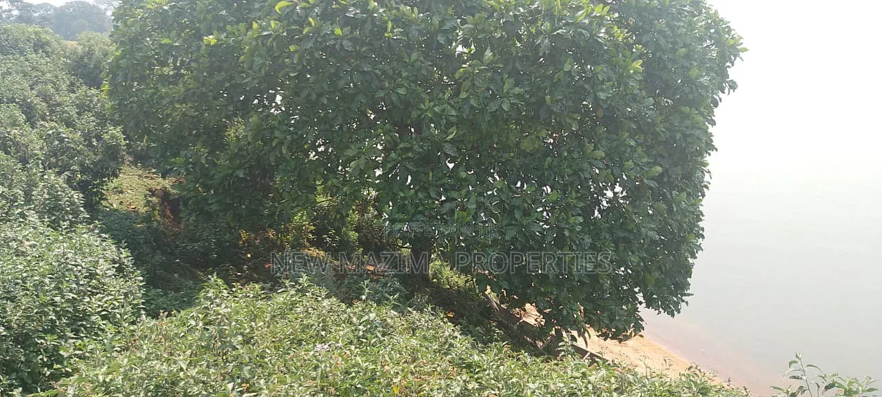 Two Acres Measuring Direct From Lake on Quicksale in Nkumba Kasanyi