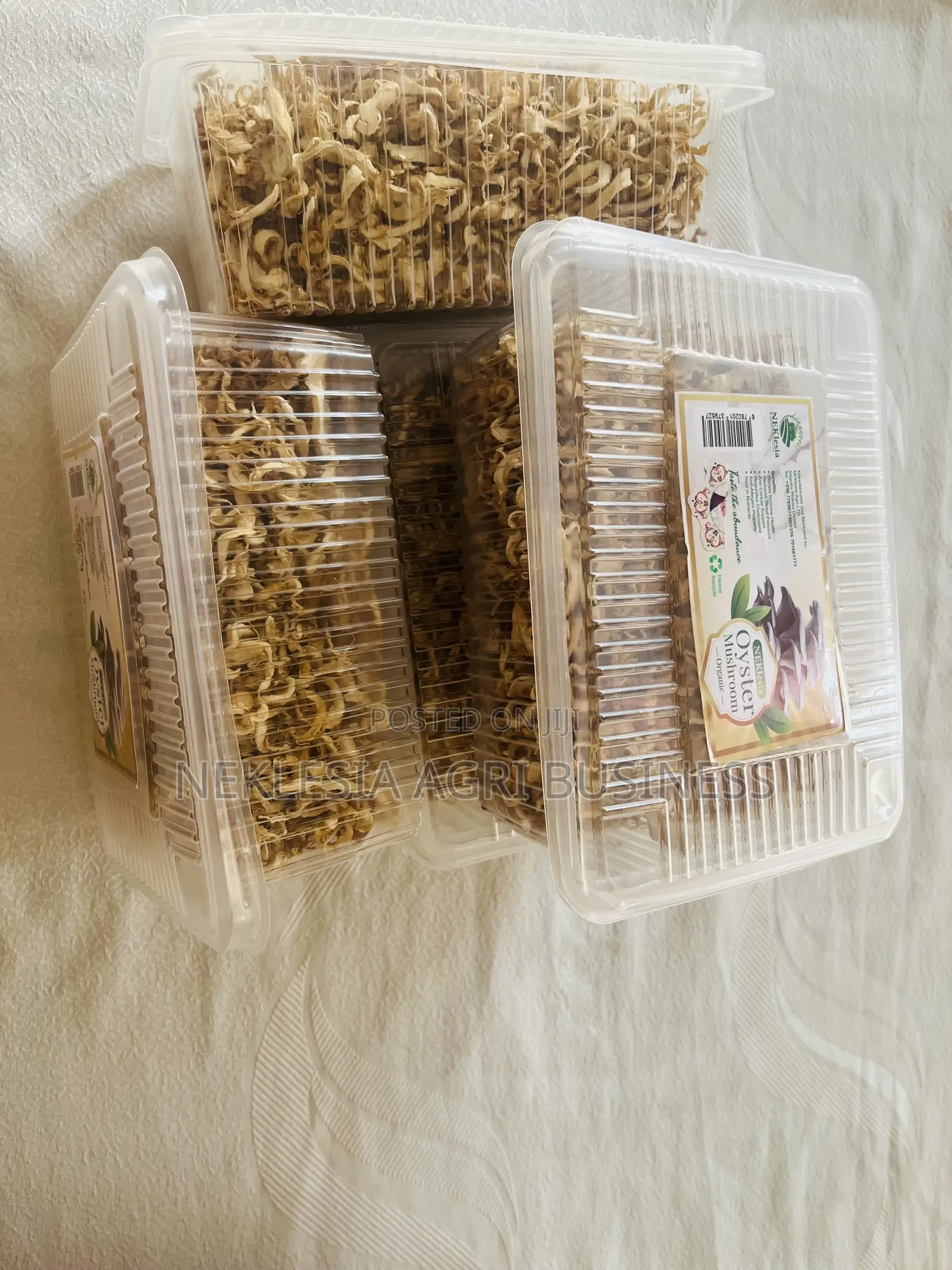 Dried Mushrooms for Sale