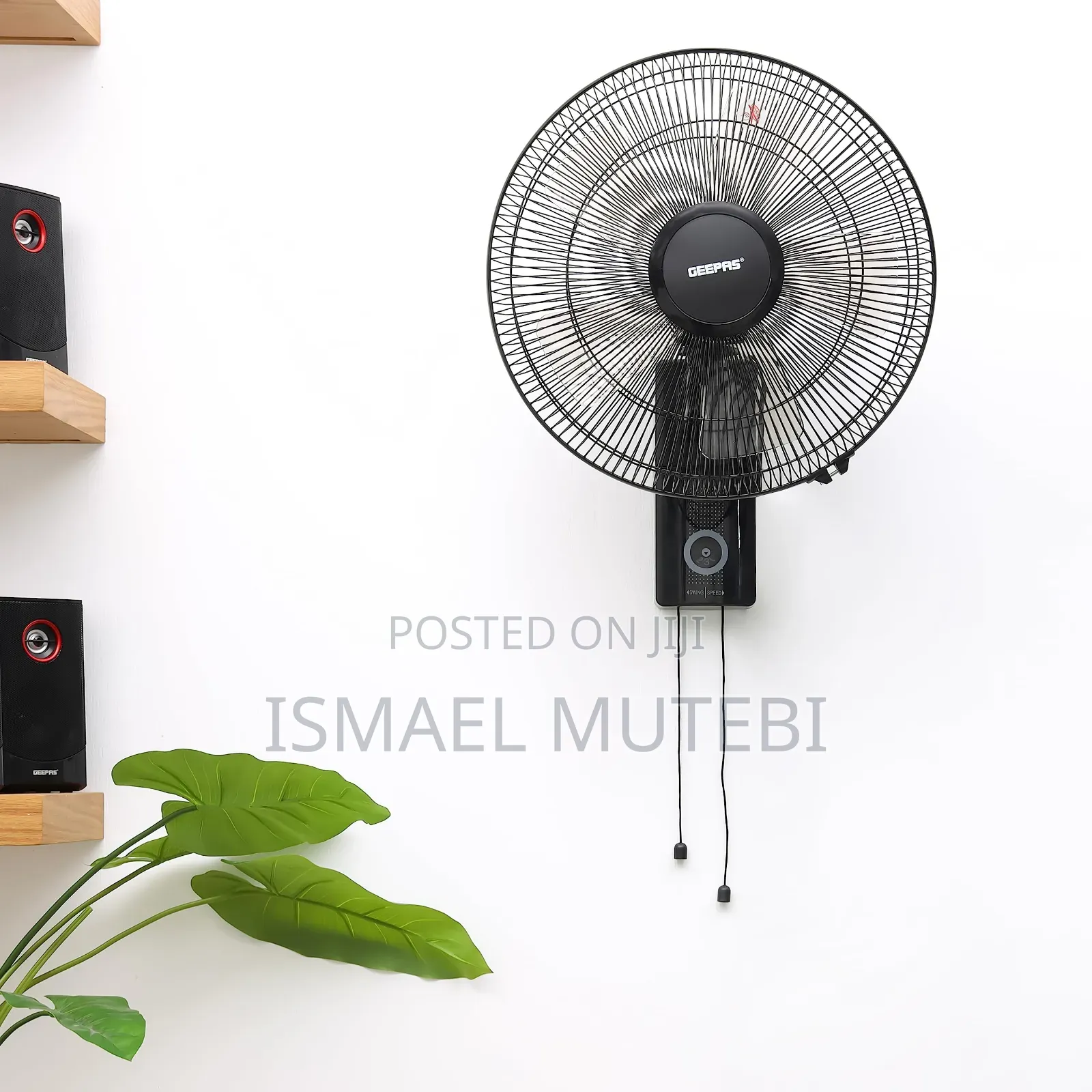 Wall Fan and Stand Fan