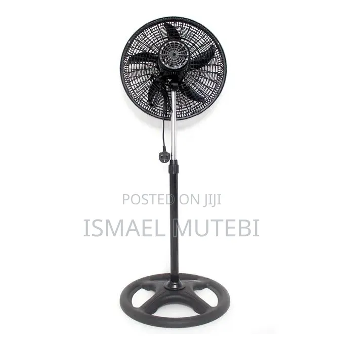 Wall Fan and Stand Fan