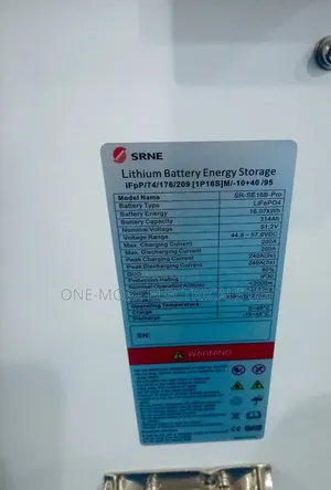 Heavier Duty Lithium Ion Phosphate Battery 16kw /48v
