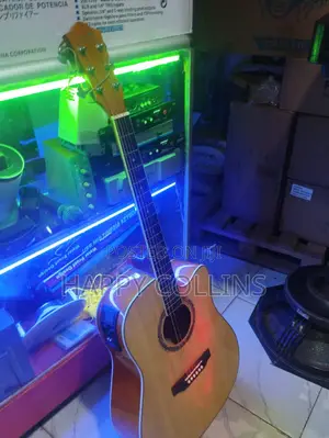 Acoustic Guitar