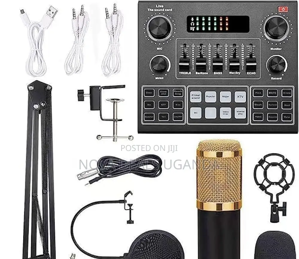 Multifunctional Live V9 Sound Card and BM800 Suspension Microphone Kit
