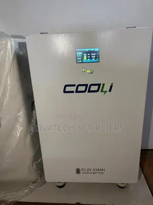 Original Cooli 314Ah LiFePO4 Energy Storage Battery