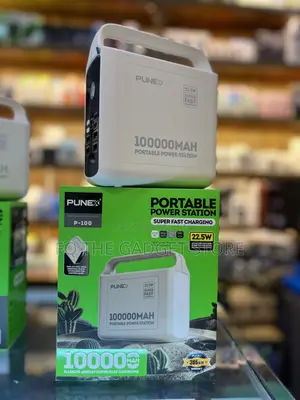 Punex PowerBank/Powerstation 100000MaH P-100