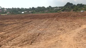 Grace Real Estate