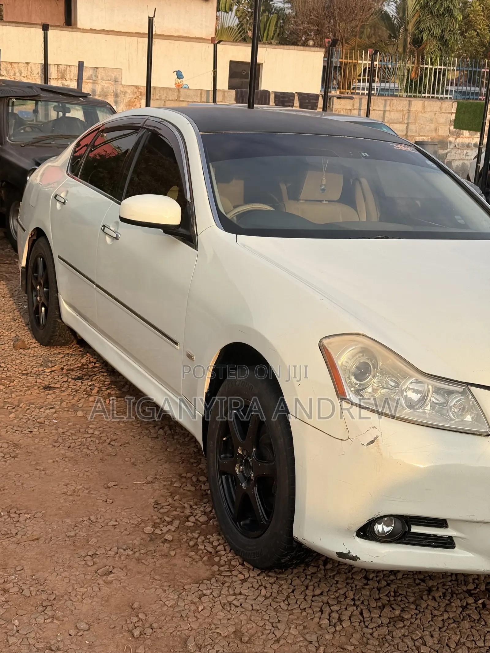 Nissan Fuga 2008 White