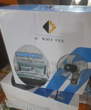 One Set of Pear Light Technology Wall Fan