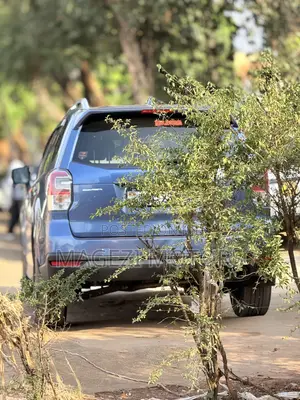 Subaru Forester 2015 Blue