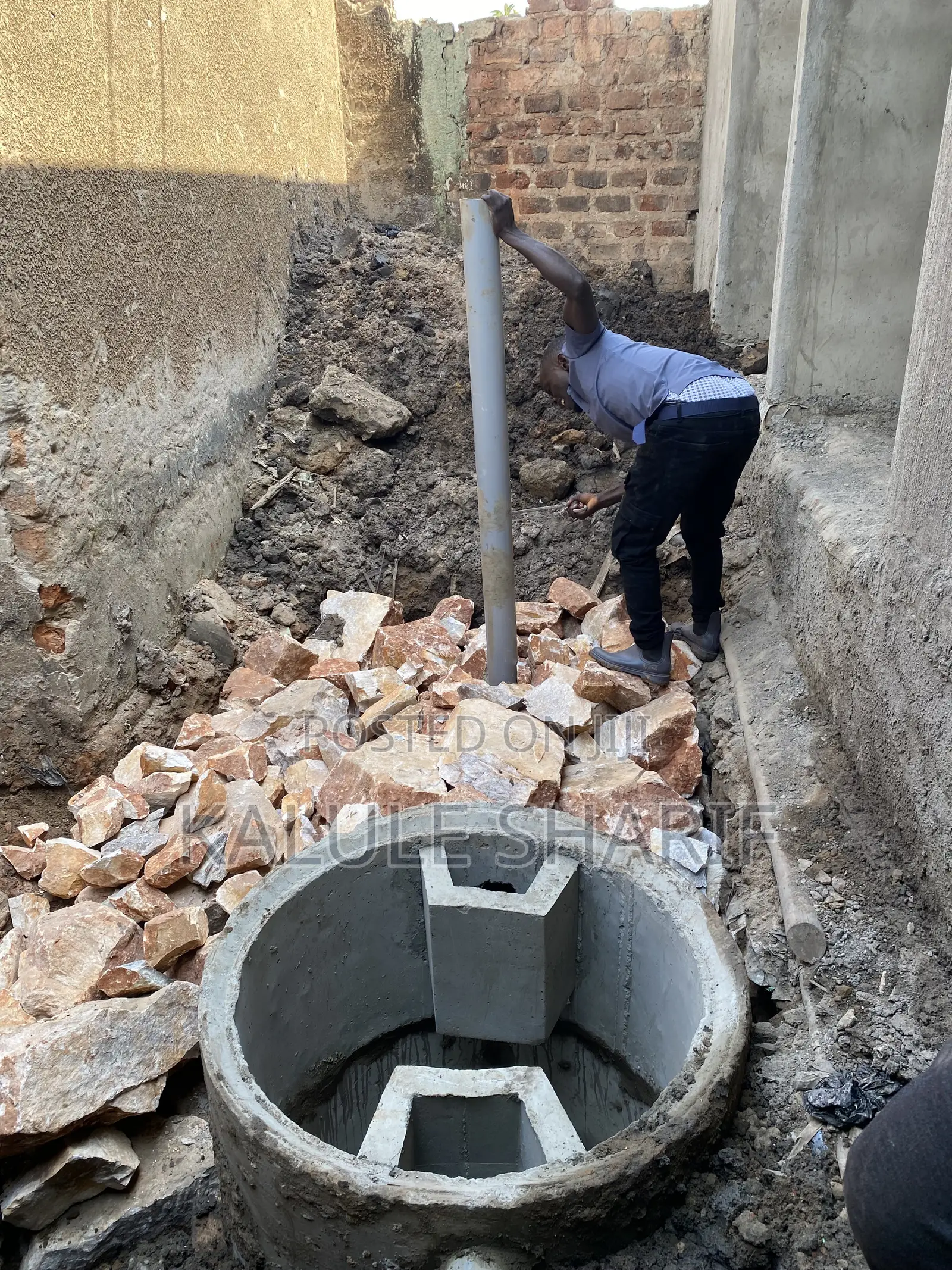 Biodigester Toilet System
