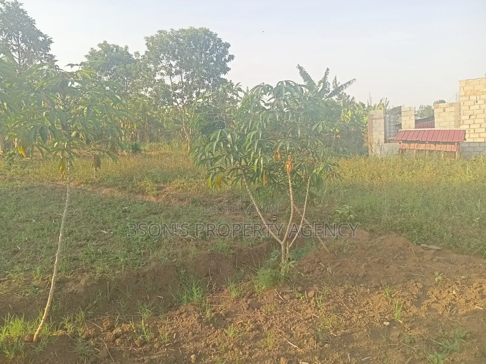 Acre of Land