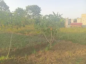 Acre of Land