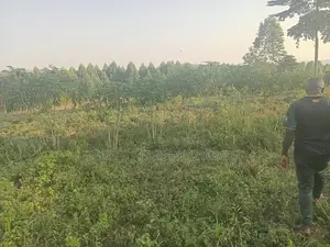 Acre of Land