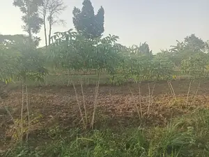 Acre of Land