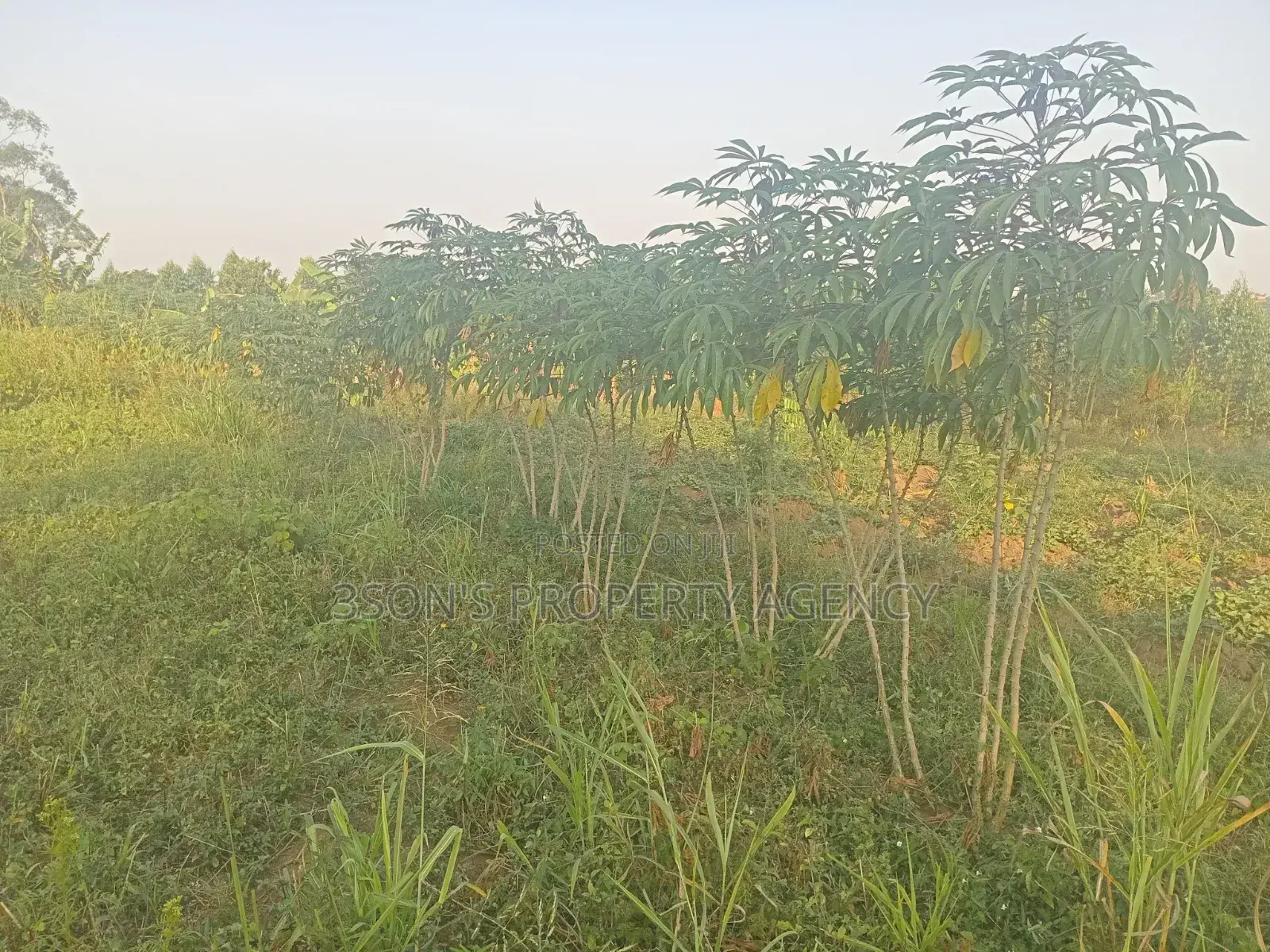 Acre of Land