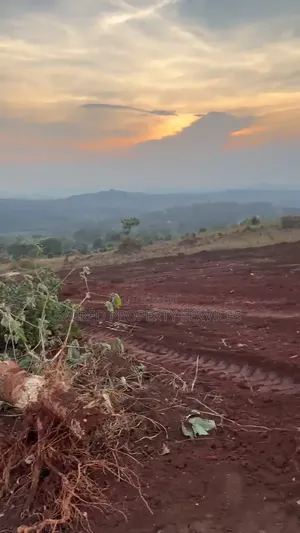 A Plot of Land 50ft by 100ft on Sale in Namayumba Wakiso District