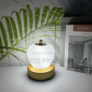 Rechargeable LED Apple Lantern Table Lamp