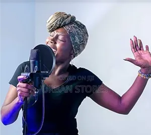 Proffessional Microphone Pop Filter
