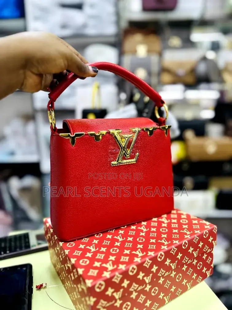 Classy Handbags by Louis Vuitton