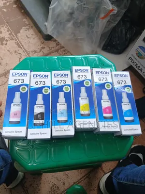 Epson Ink 673 Original