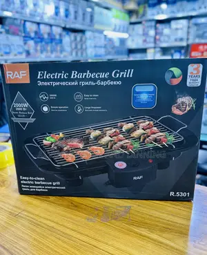 Electric Barbecue Grill