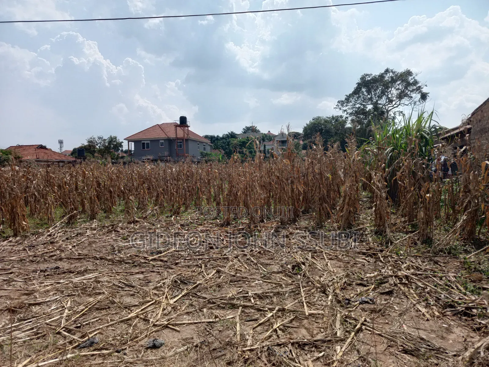 53 Decimals Land in Muyenga